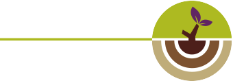 AIWIN INTERNATIONAL SCHOOL/ アイウィンインターナショナルスクール