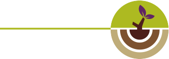 Aiwin International School