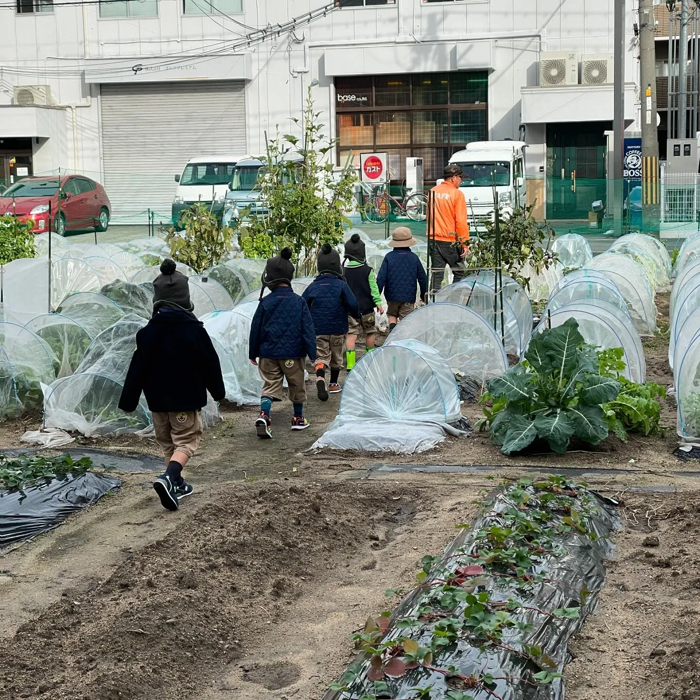 🌱 Green Farming Begins! 🌱