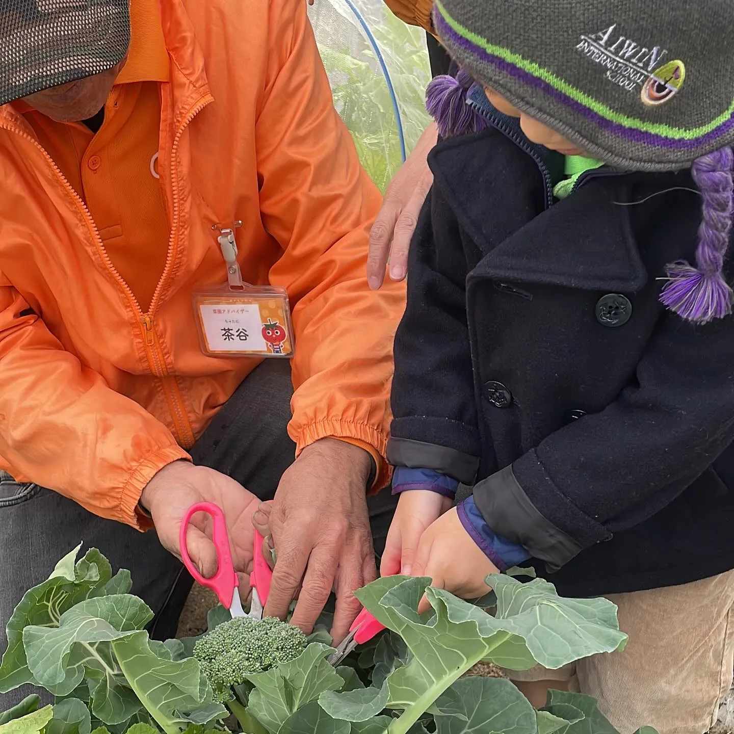 🌱 Green Farming Begins! 🌱