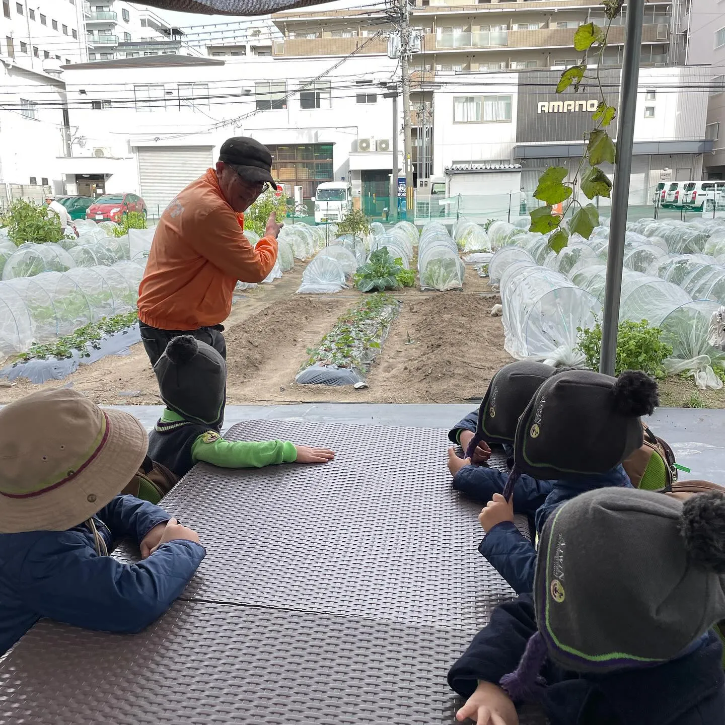 🌱 Green Farming Begins! 🌱