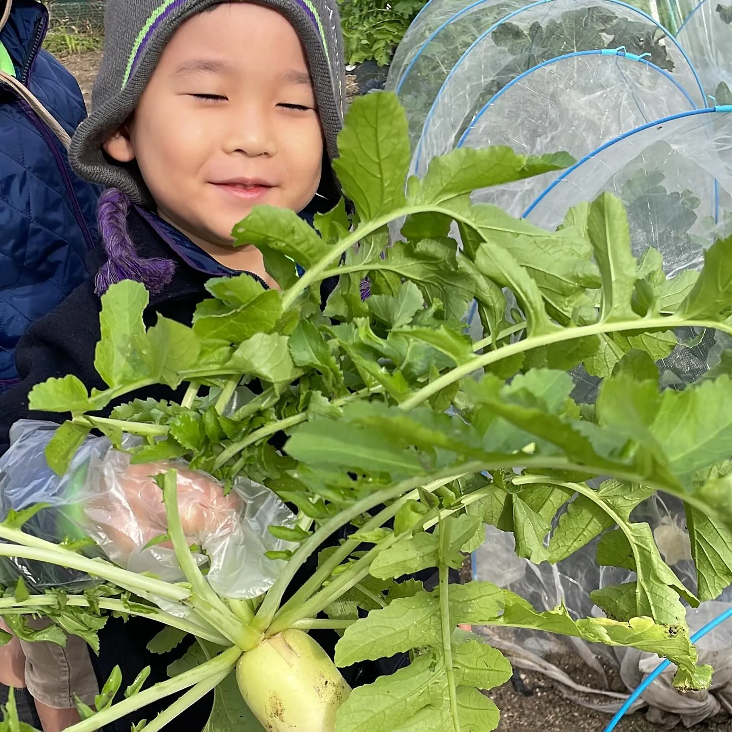 🌱 Green Farming Begins! 🌱