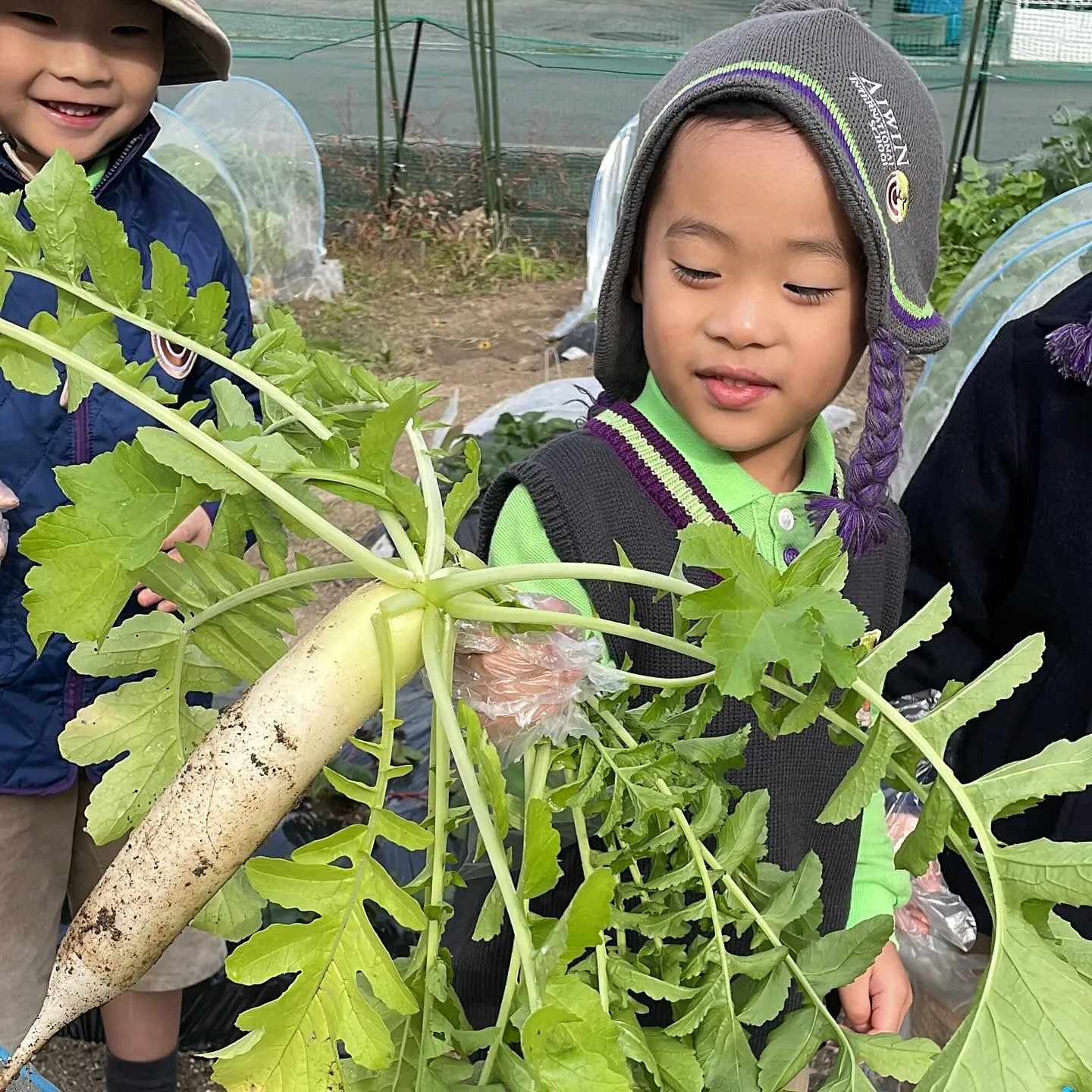 🌱 Green Farming Begins! 🌱