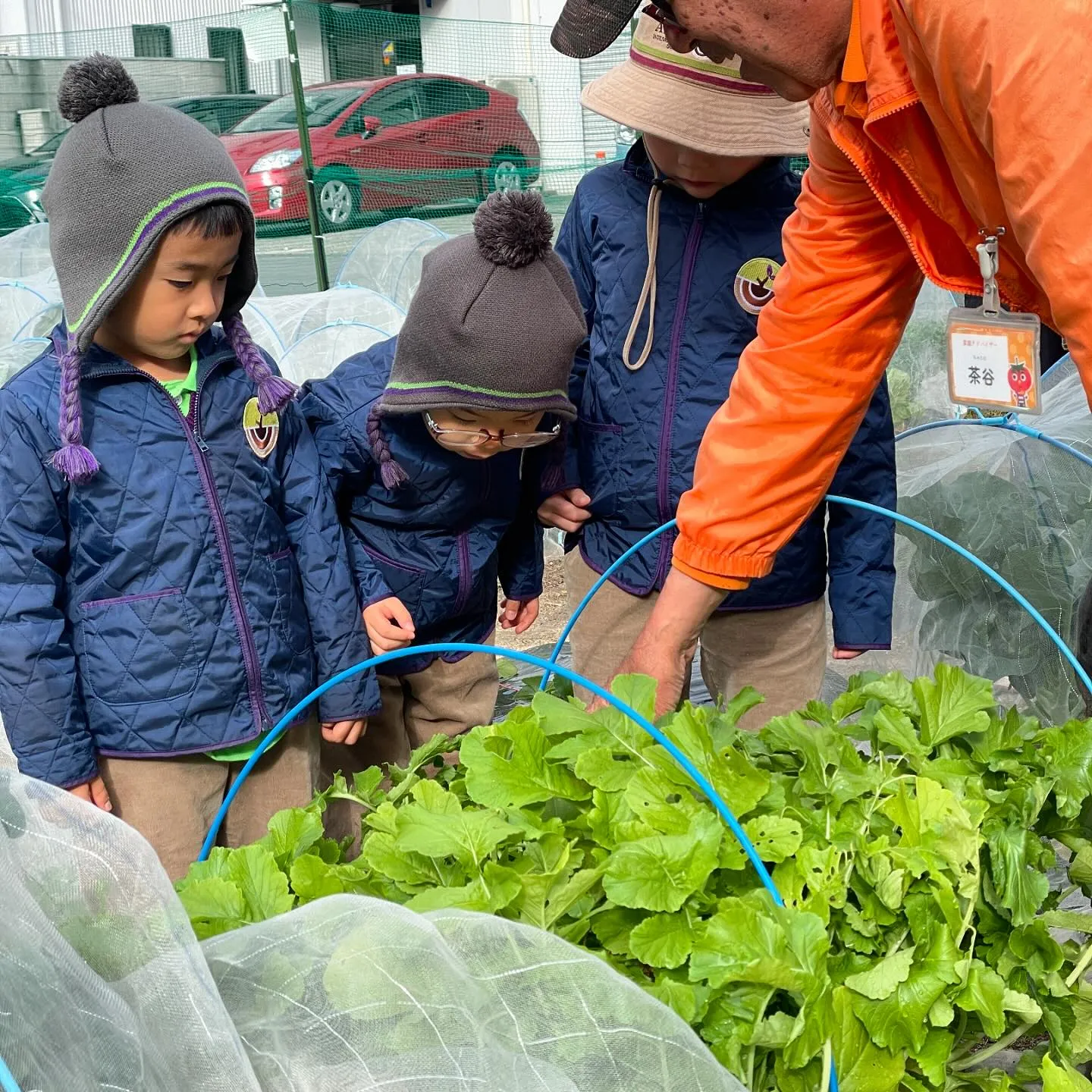 🌱 Green Farming Begins! 🌱