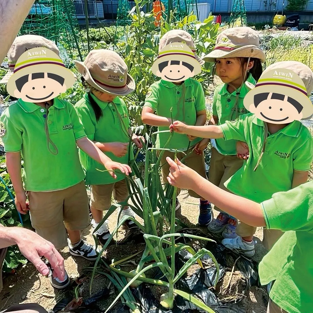 Farm Tripの活動の様子です!🌳