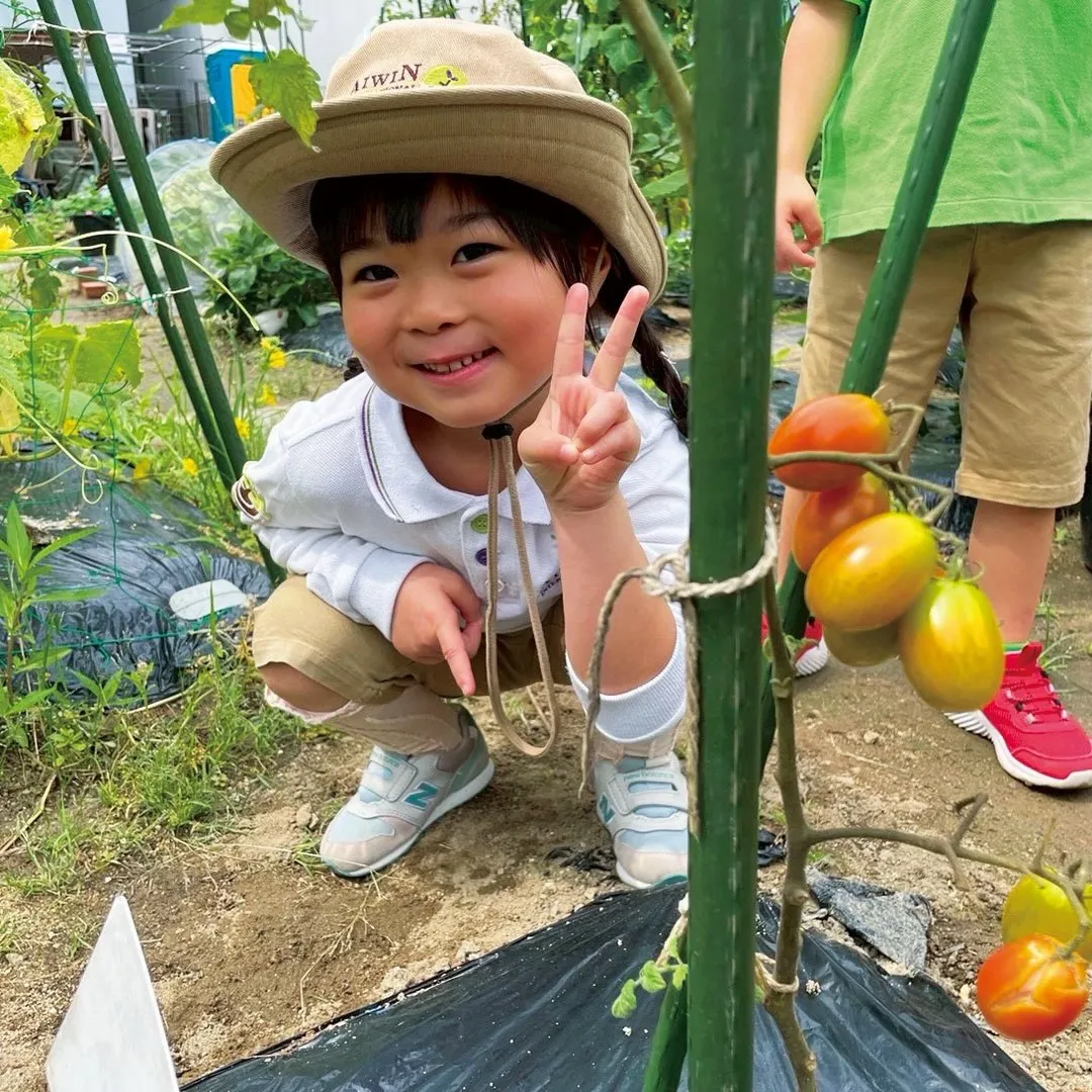 KindyさんがFarm Tripに行きました🍅