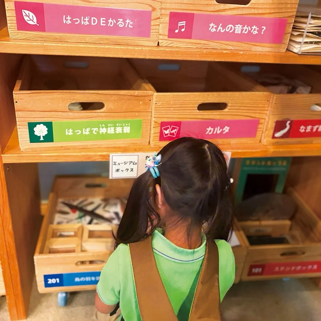 Our Kindy friends went on a fi...