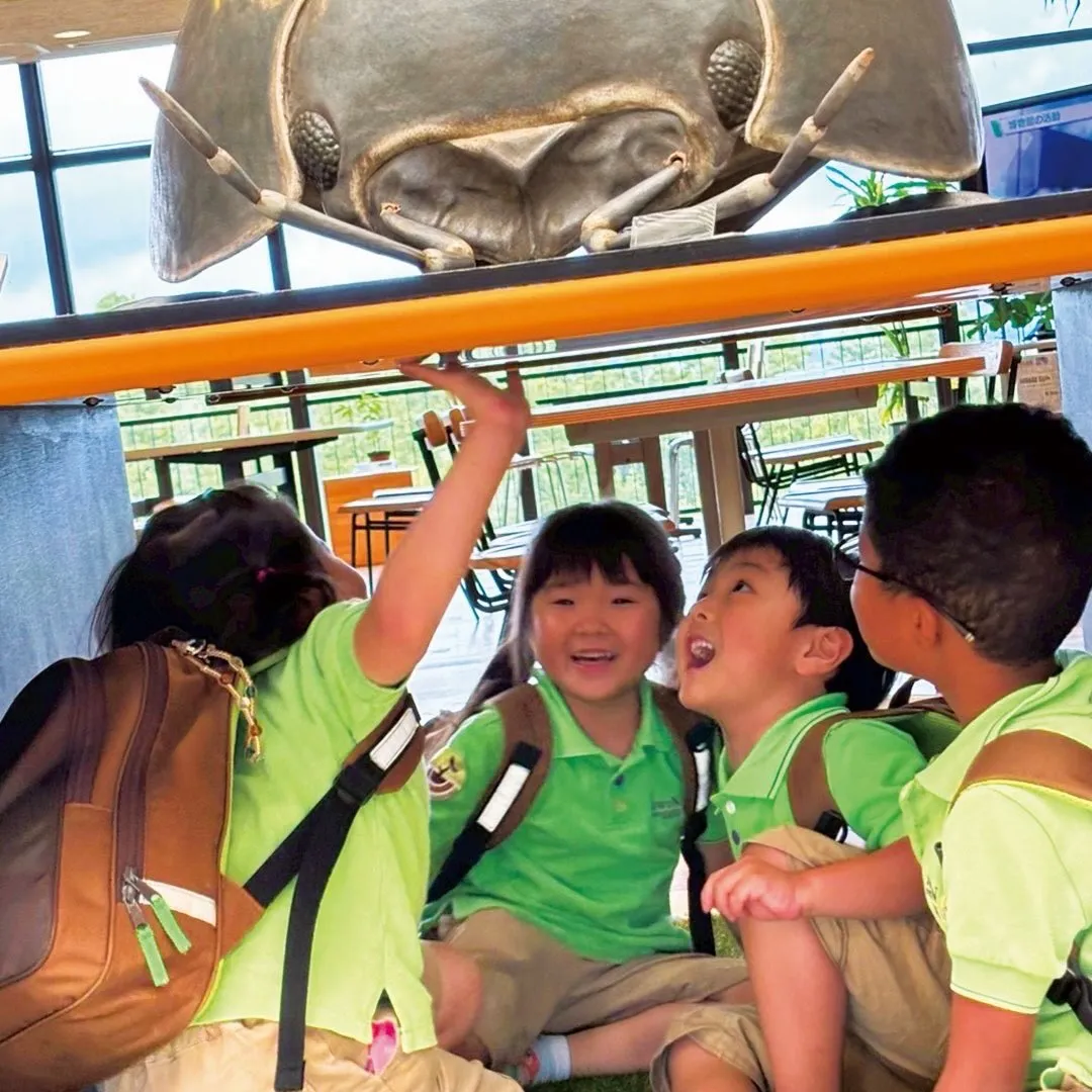 🦕 Field Trip to the Museum! 🌿